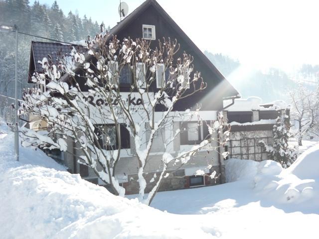 Chata Rozarka Dolni Dvur Extérieur photo